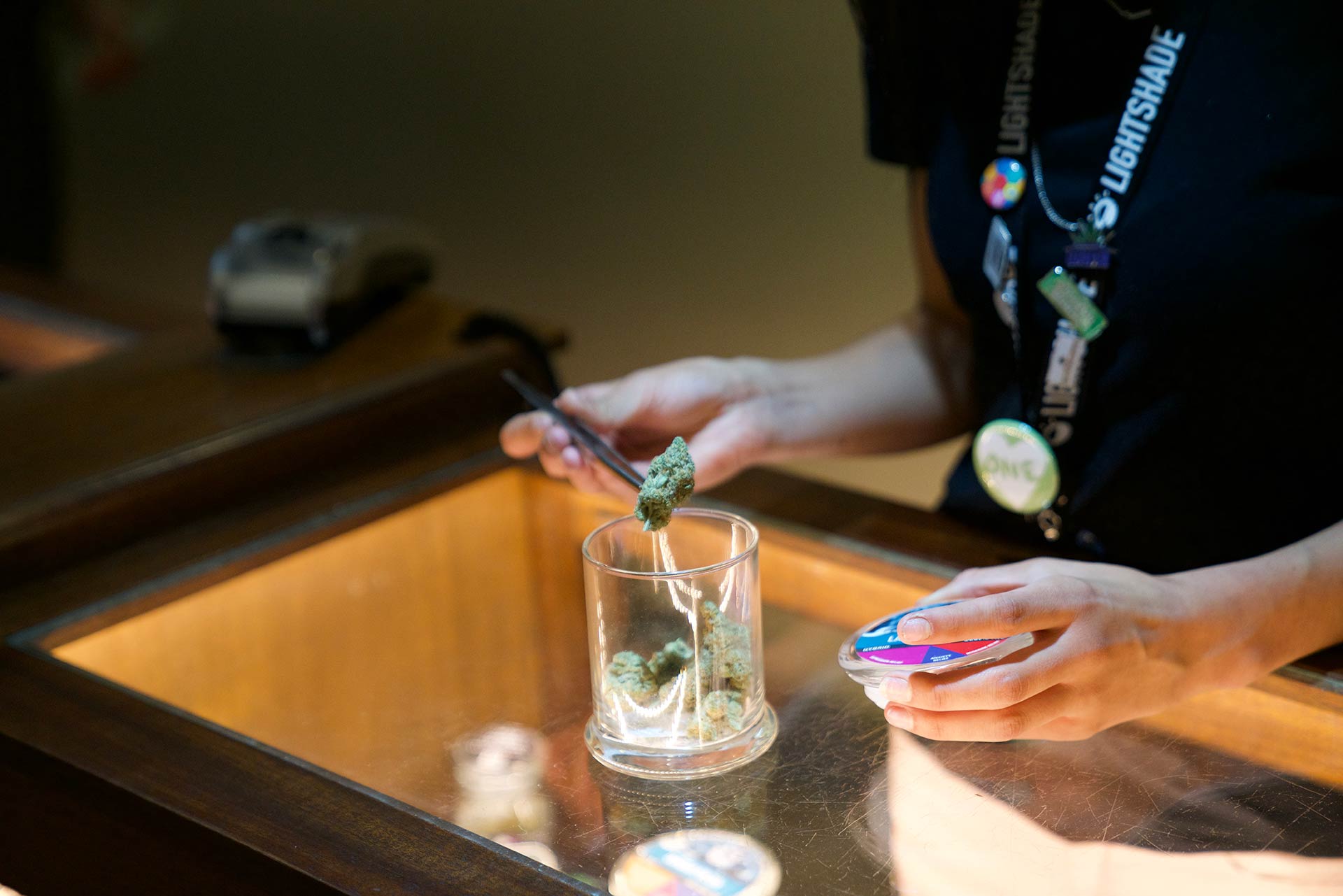 dispensarydenverlightshadesheridan4 Lightshade