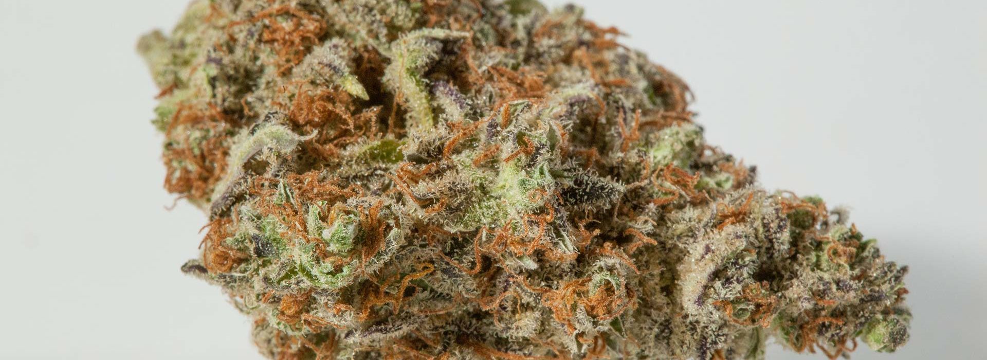 Lightshade Dispensary - Orange Herijuana Strain