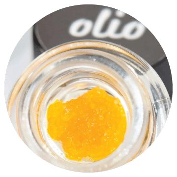 Olio Live Sauce - Lightshade Dispensary Denver