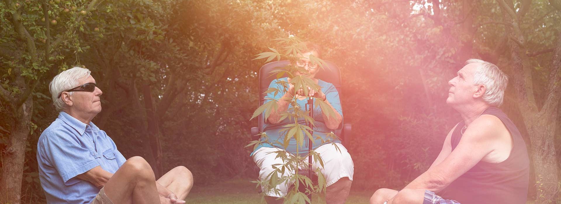 Cannabis for Seniors