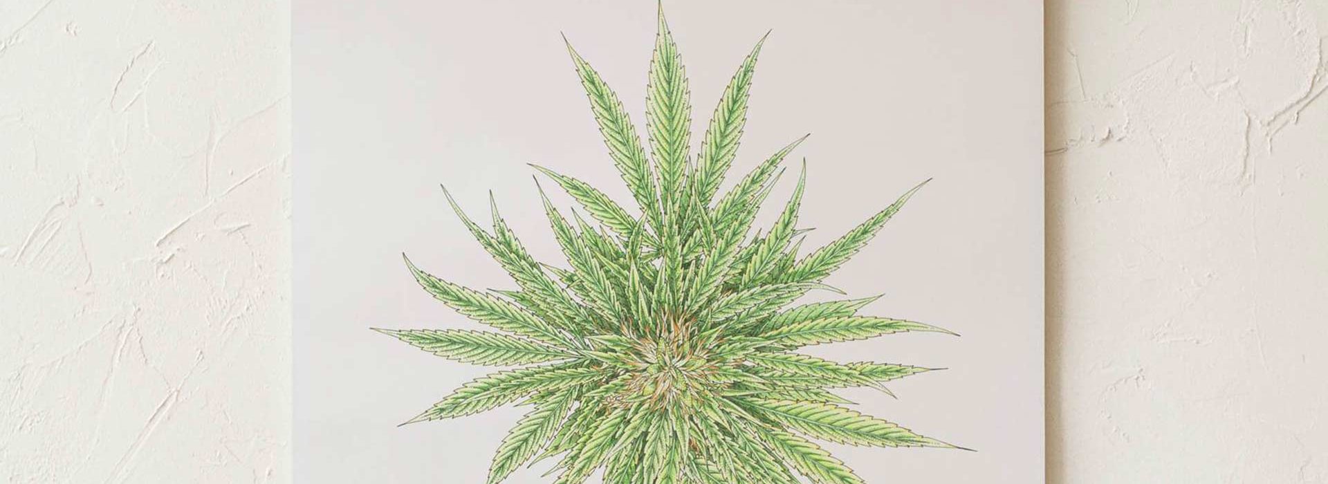Lightshade & Goldleaf custom cannabis art