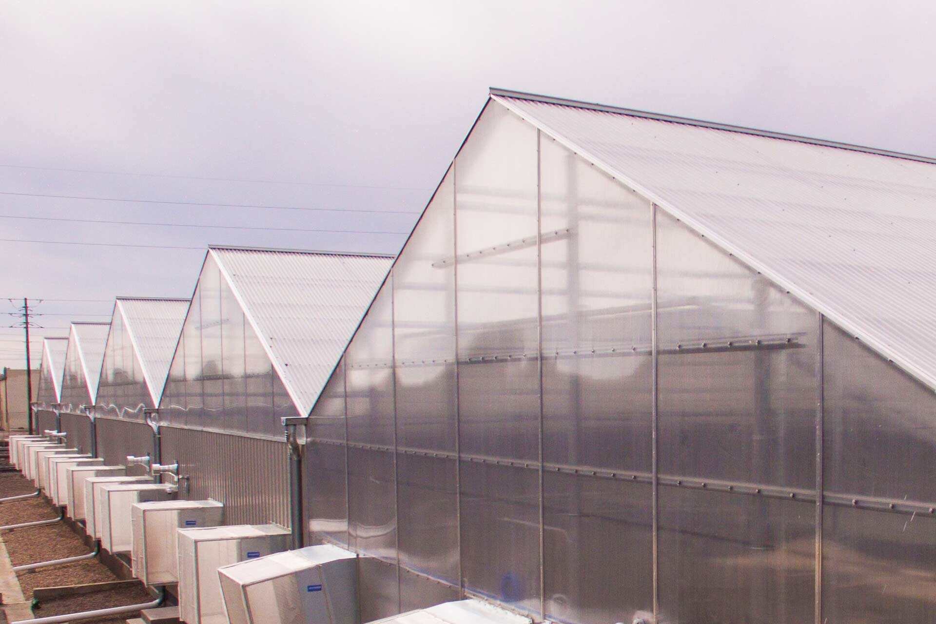 Lightshade Dispensary Greenhouse - Environmental Sustainability