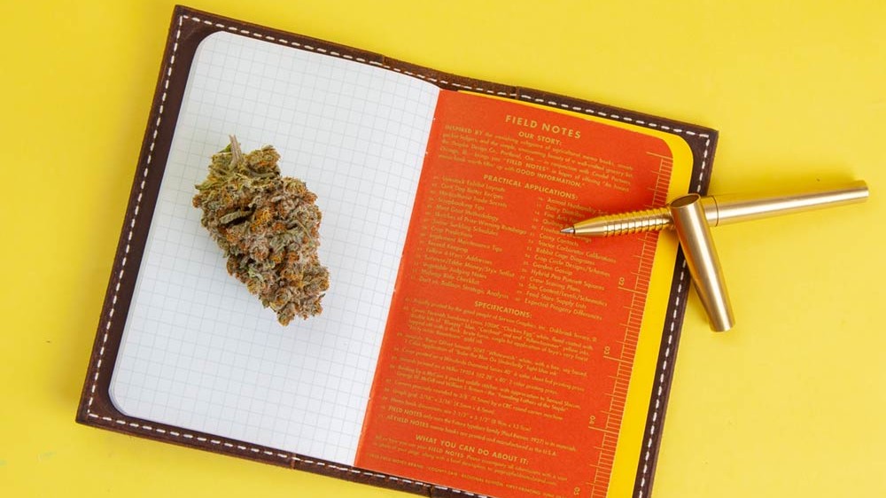 Cannabis for Journaling - Lightshade Dispensary Colorado