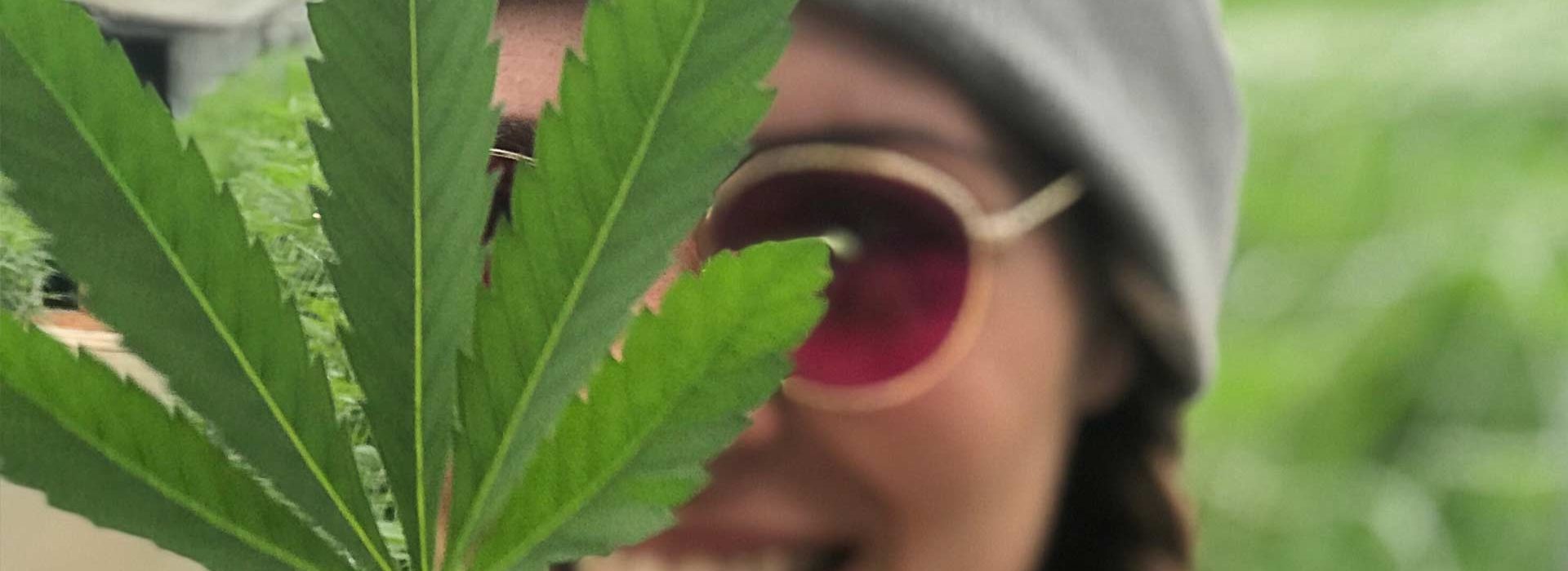 Lightshade Dispensary - Break the Stigma - Stevie Kaye