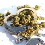 Legal Cannabis Doesn’t Increase Violent Crime
