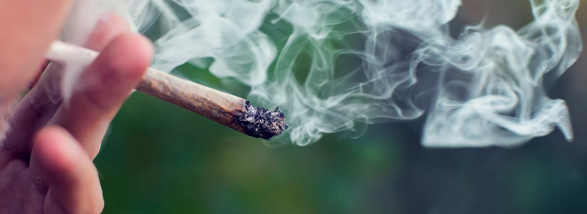 Underage cannabis consumption in a decline
