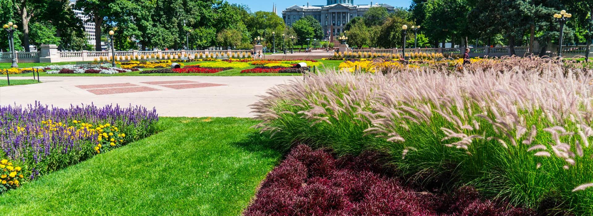 Capitol Hill Denver