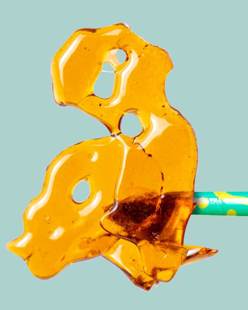 A piece of golden cannabis shatter with a translucent, glass-like texture held on a colorful dab tool, displayed against a light blue background.