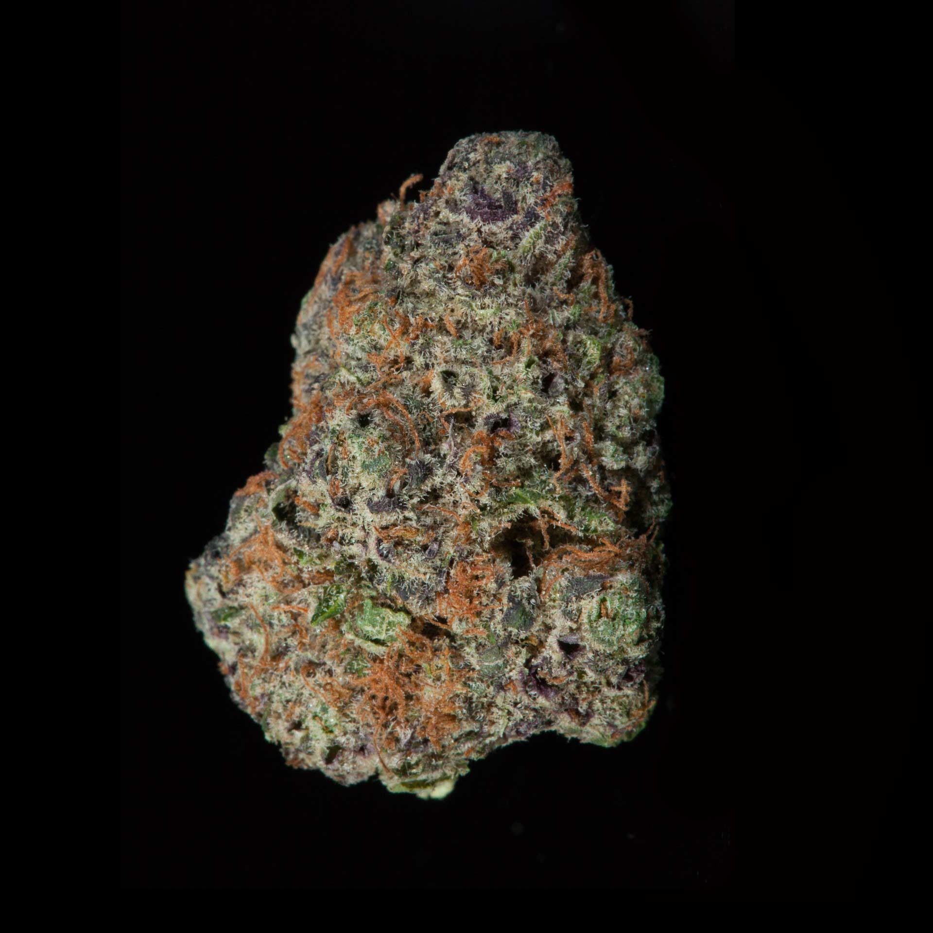 Lavender Jones Cannabis Strain - Lightshade Equinox Brand