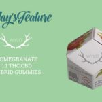 Today's Feature Wyld Pomegrante 1:1 THC:CBD Hybrid Gummies