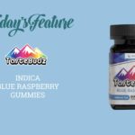 TasteBudz Blue Raspberry Indica Gummies Review