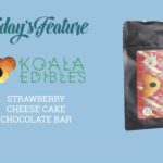 Koala Strawberry Cheesecake Review