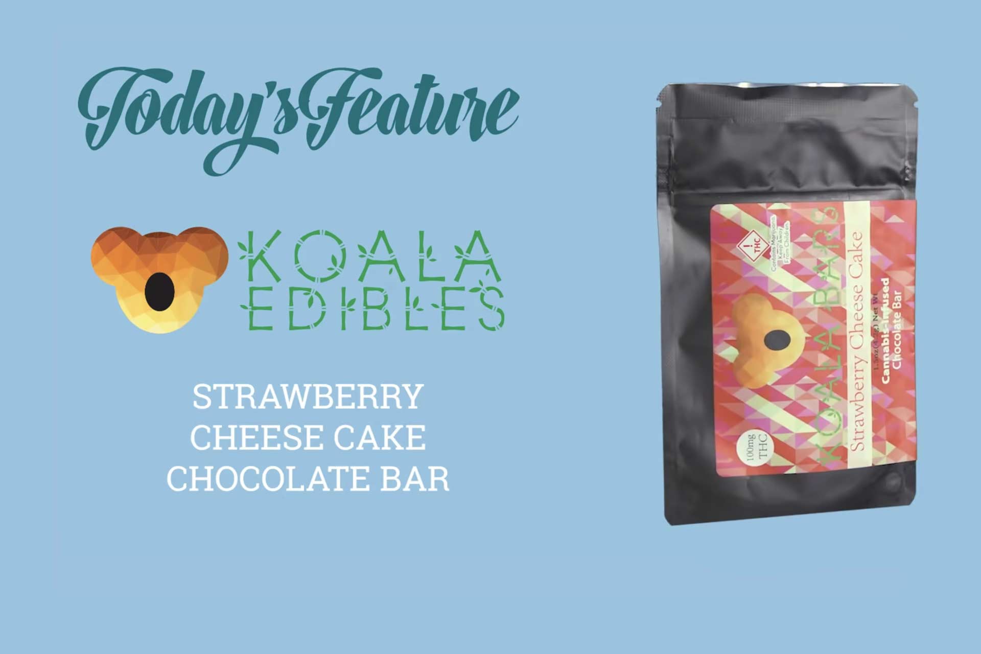 Koala Strawberry Cheesecake Review