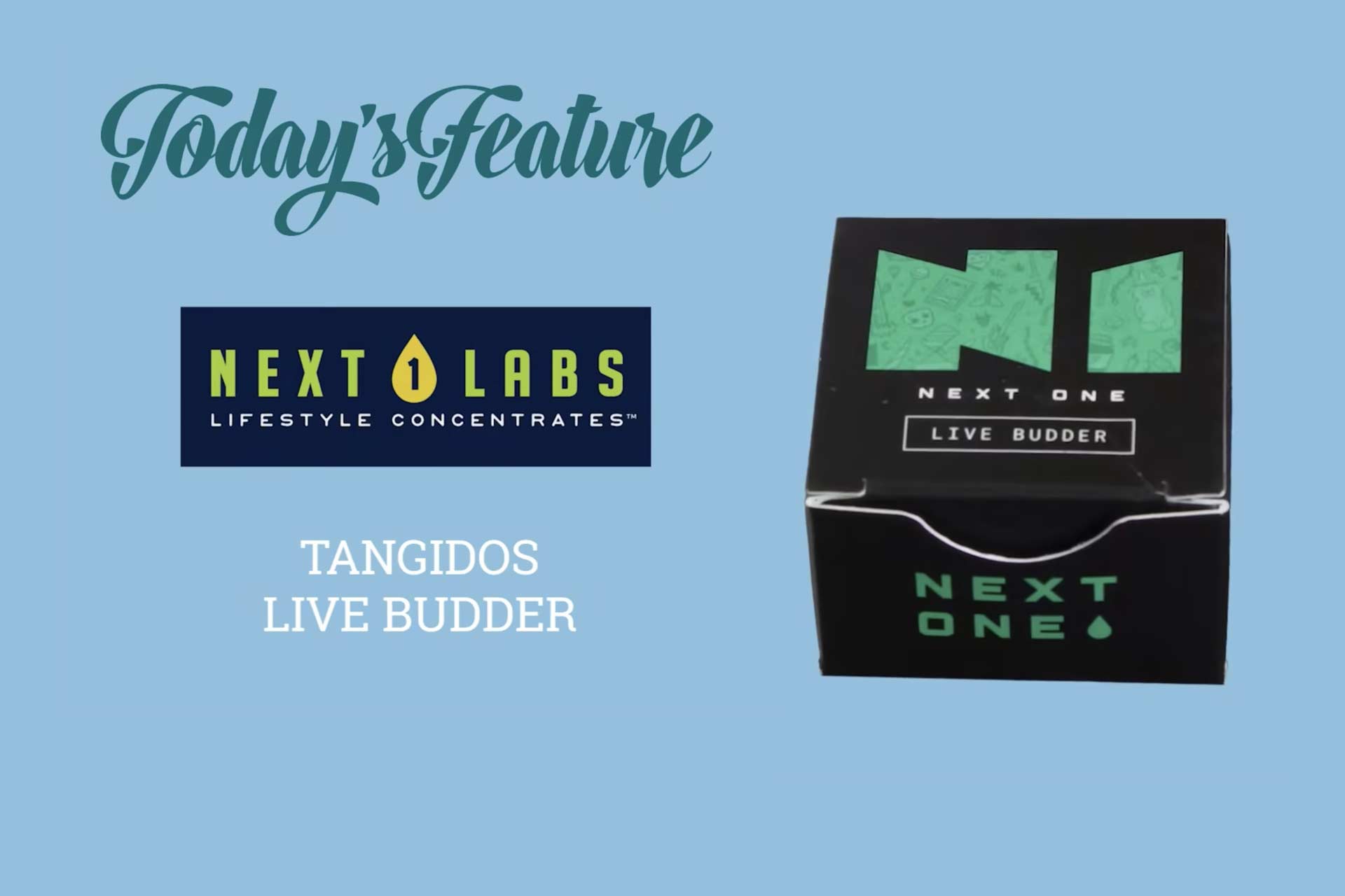 Next1 Tangidos Live Budder Review