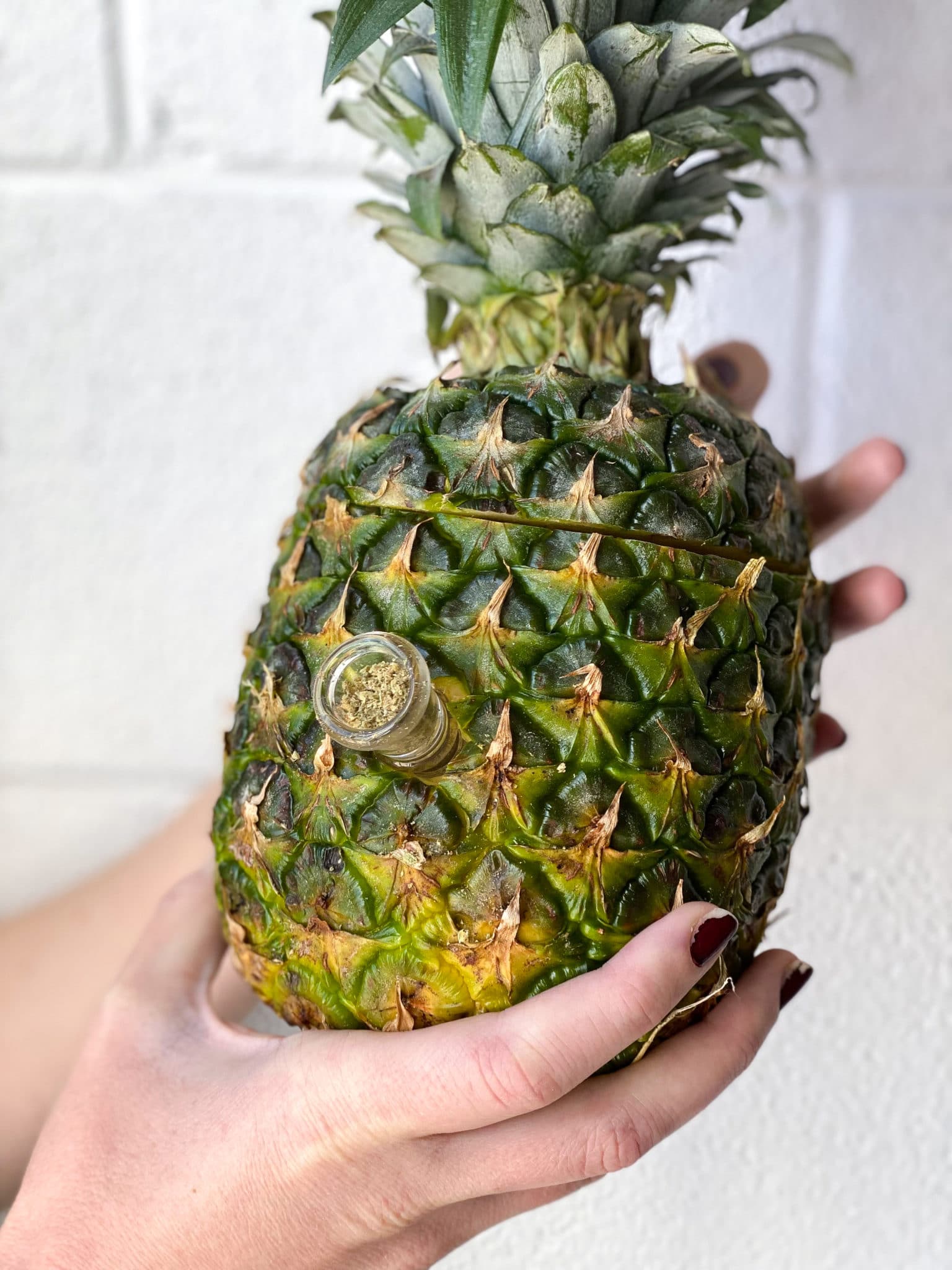 hands holding a DIY pineapple bong with cannabis flower