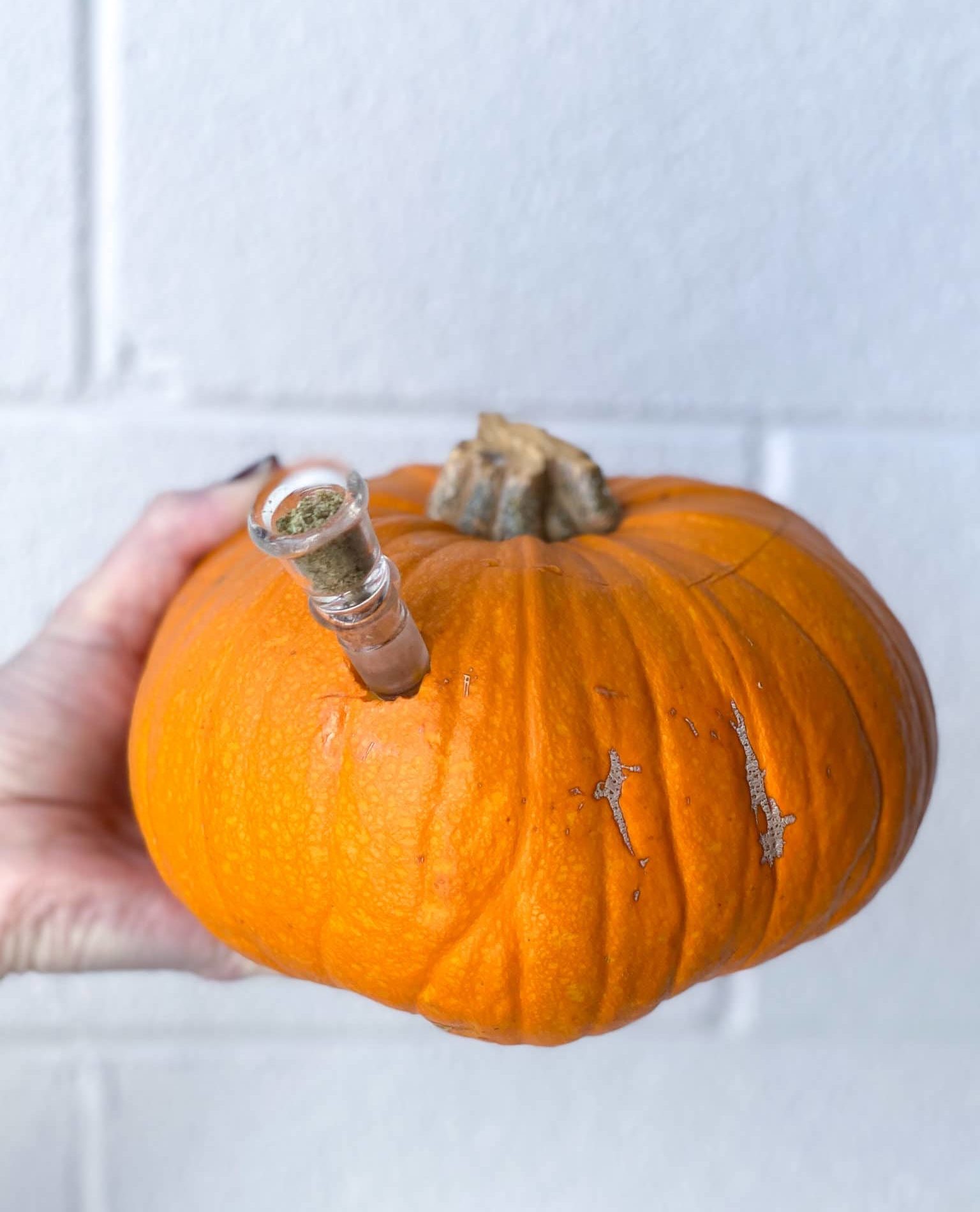 hand holding a DIY pumpkin weed pipe with cannabis flower
