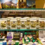 dispensary display case with cannabis products inside
