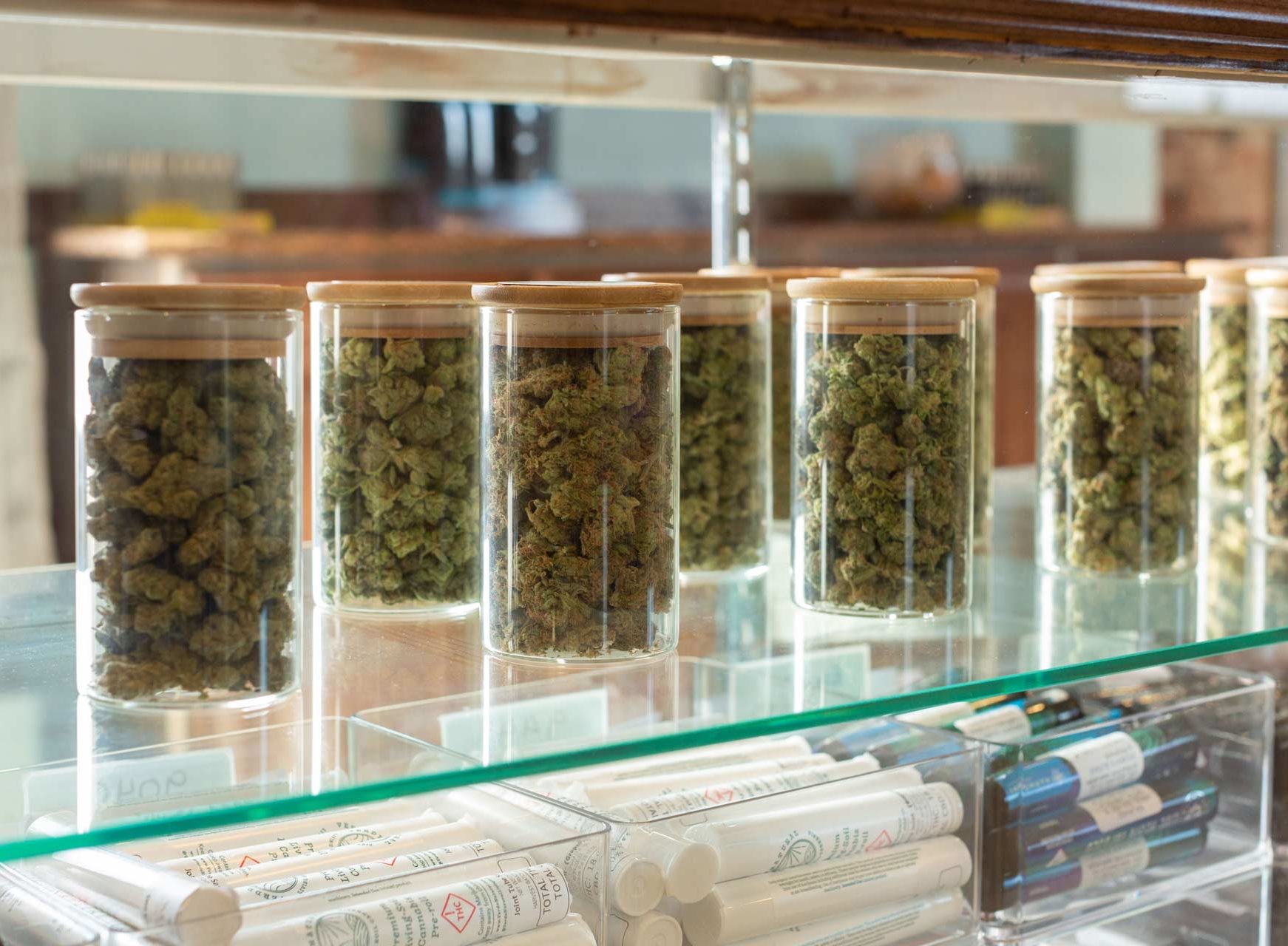 Cannabis Flower in Glass Jars on Shelfs
