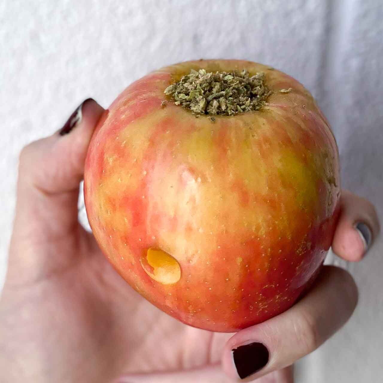 Hand Holding DIY Apple Weed Pipe