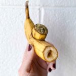 Hand Holding DIY Banana Weed Pipe