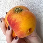 Hand Holding DIY Peach Weed Pipe