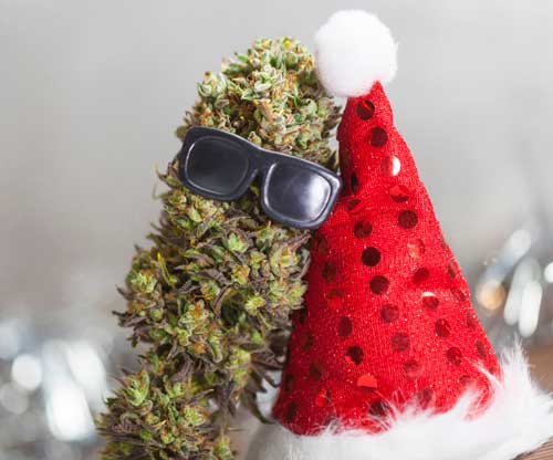 cannabis flower with miniature sunglass on leaning next to a holiday hat with holiday decorations in the background
