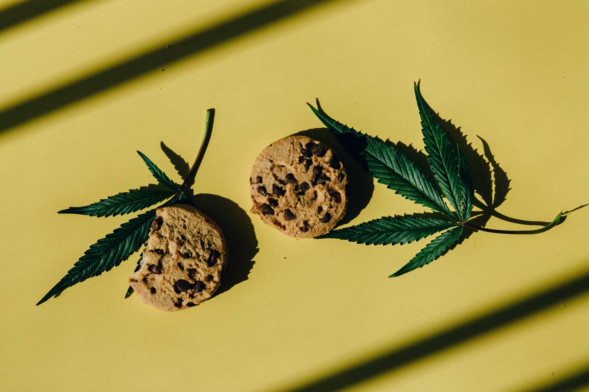 whole cookie and half eaten cookie on yellow background next to cannabis leafs