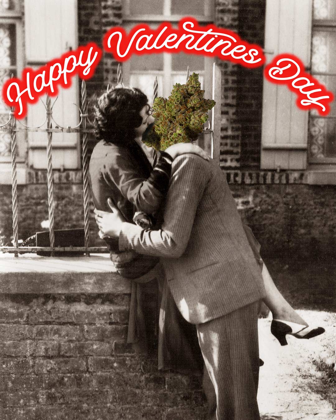 Happy valentines Day: Old Fashioned image of man kissing a women and man's head is a cannabis flower bud