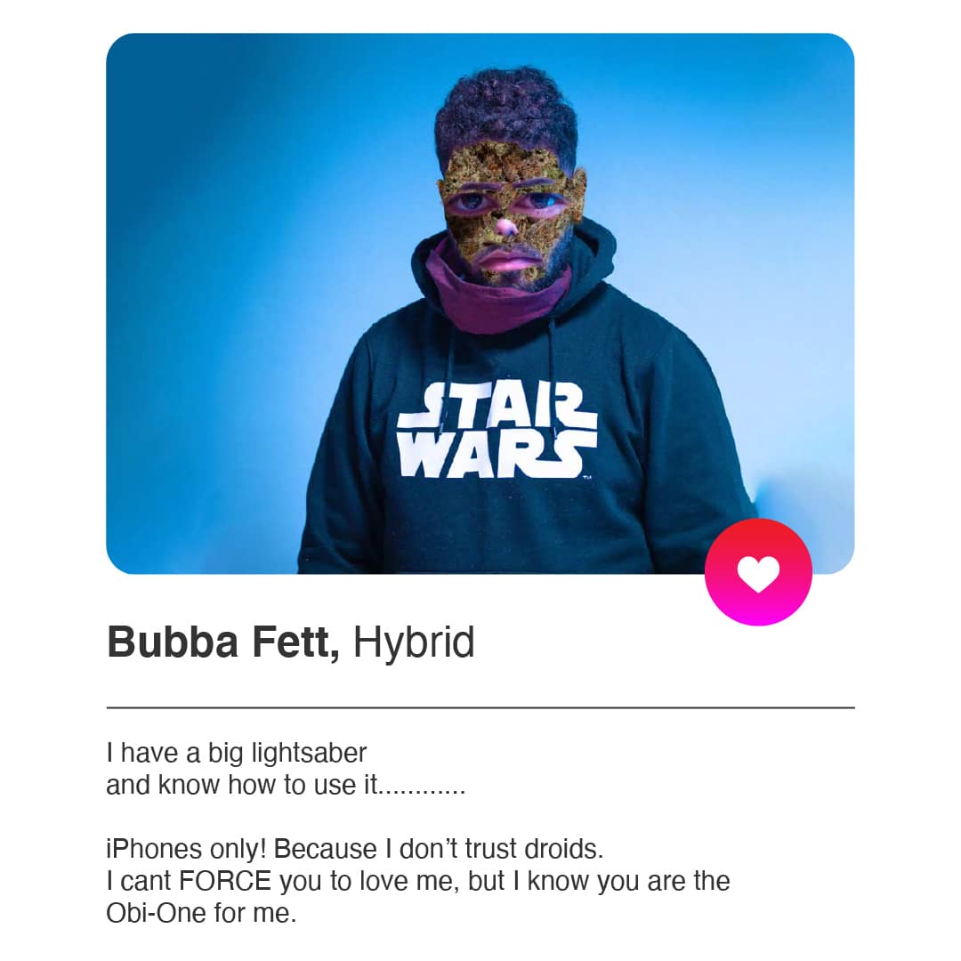 Bubba Fett, Hybrid profile picture