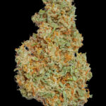 Lilac Diesel #22 Strain Cannabis Bud